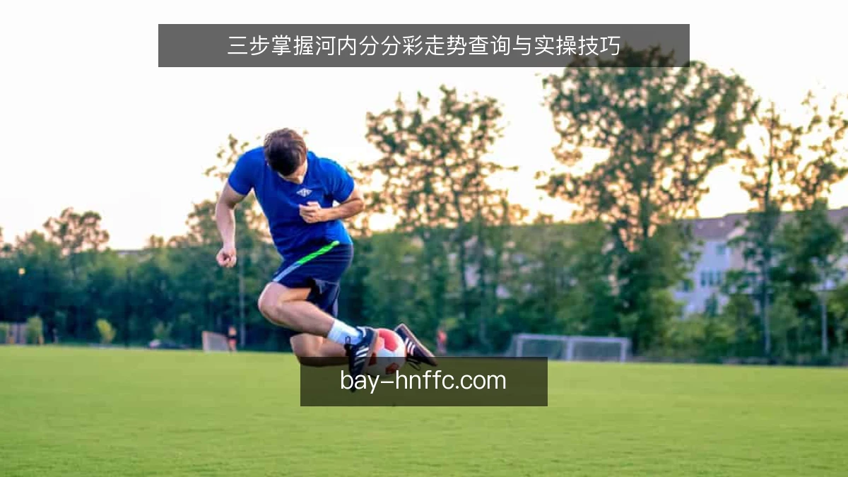 三步掌握河内分分彩走势查询与实操技巧