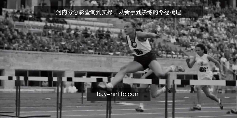 河内分分彩查询到实操:从新手到熟练的路径梳理 — 初识河内分分彩:信息查询的起点 配图