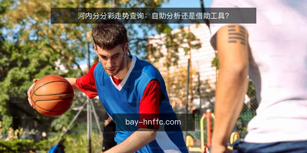 河内分分彩走势查询:自助分析还是借助工具? — 判断你的查询场景 配图