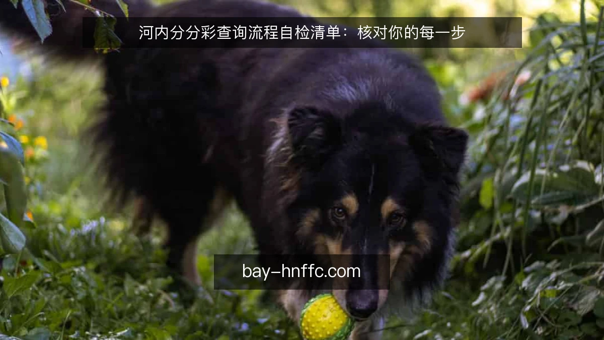 河内分分彩查询流程自检清单：核对你的每一步